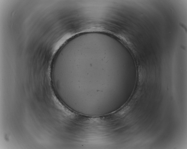 X0000102231422200808081337
