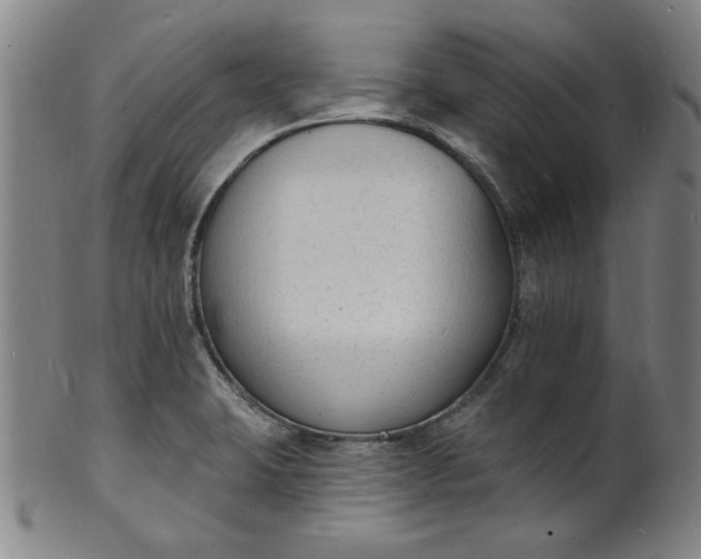 X0000102231423200808081337