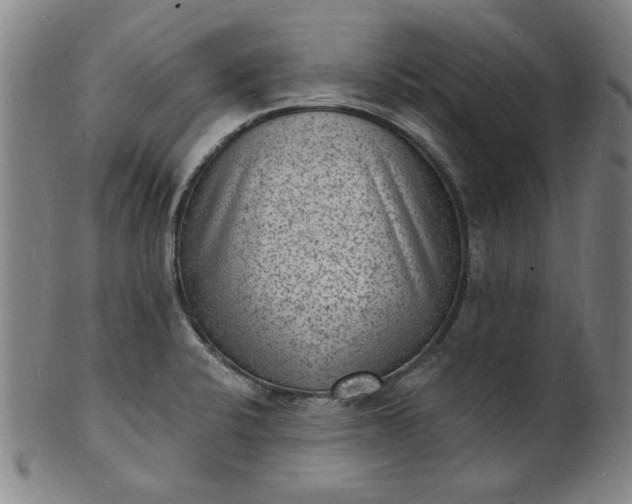 X0000102231424200808081337