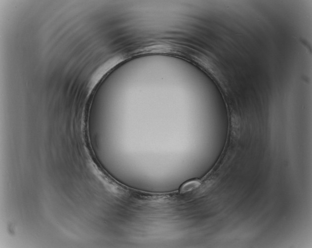 X0000102231426200808081337