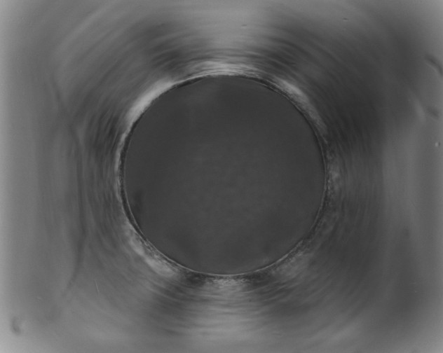 X0000102231427200808081337