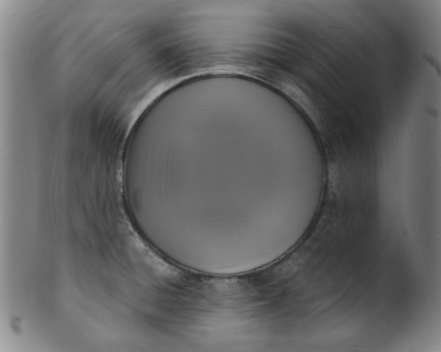 X0000102231428200808081337