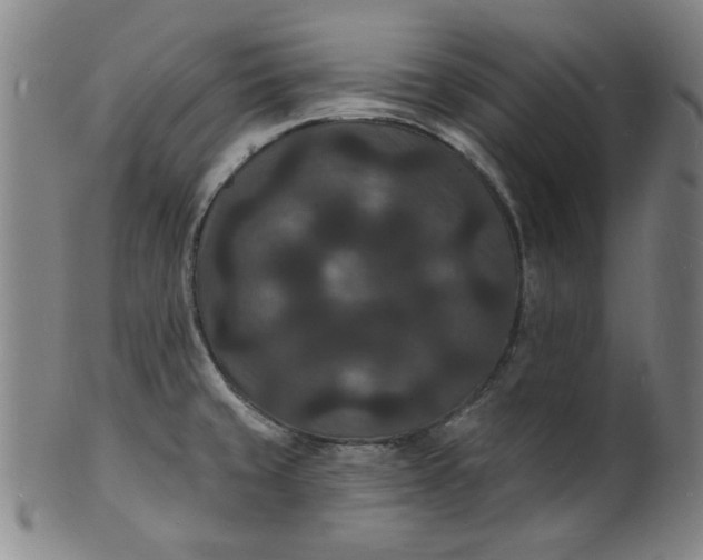 X0000102231429200808081337