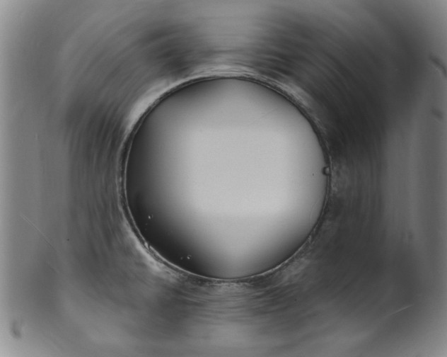 X0000102231430200808081337
