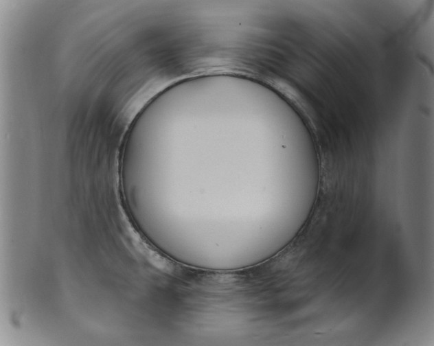 X0000102231431200808081337