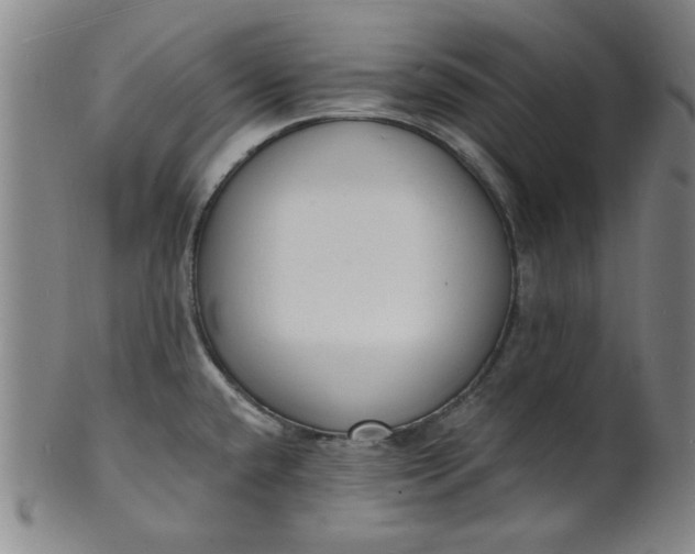 X0000102231432200808081337