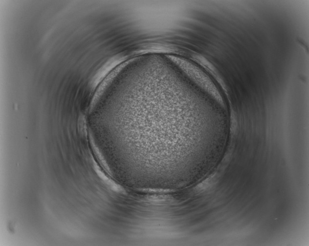 X0000102231433200808081337