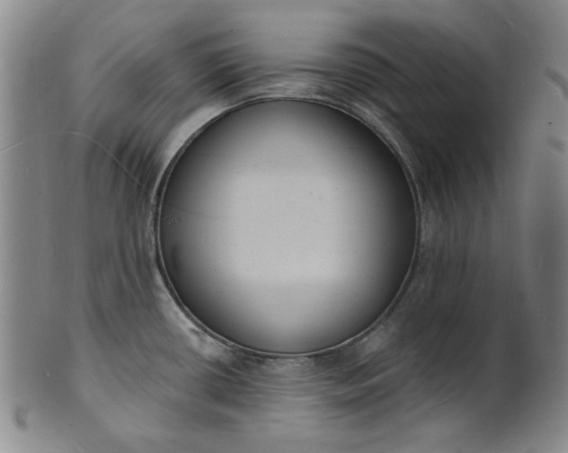 X0000102231434200808081337