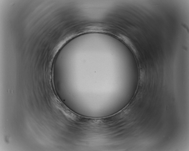 X0000102231435200808081337
