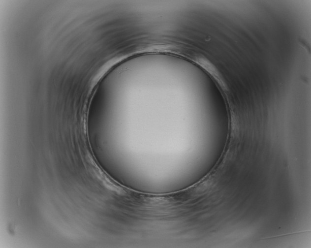 X0000102231436200808081337