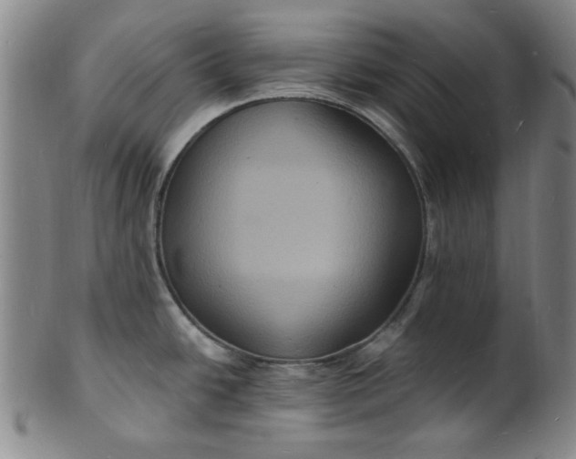 X0000102231438200808081337