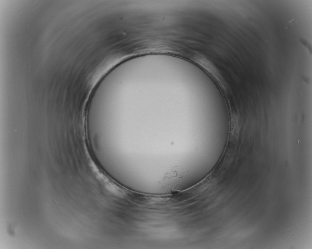X0000102231439200808081337