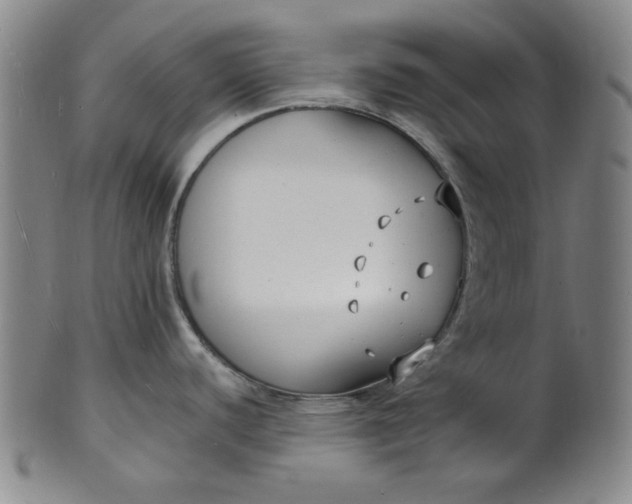 X0000102231440200808081337