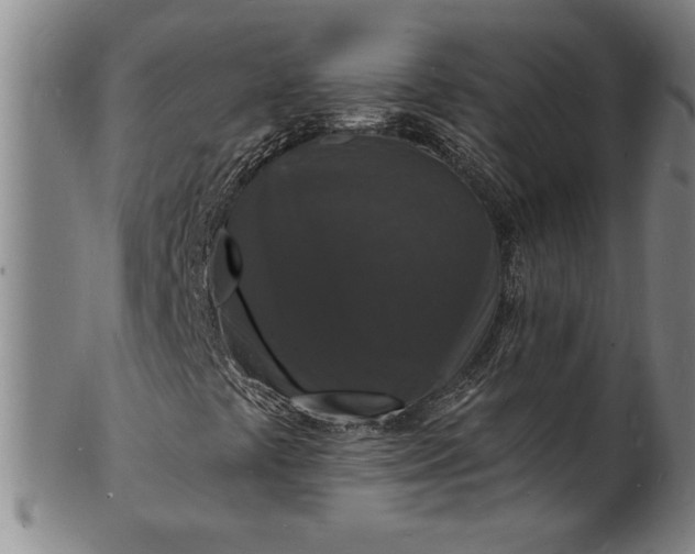 X0000102231441200808081336