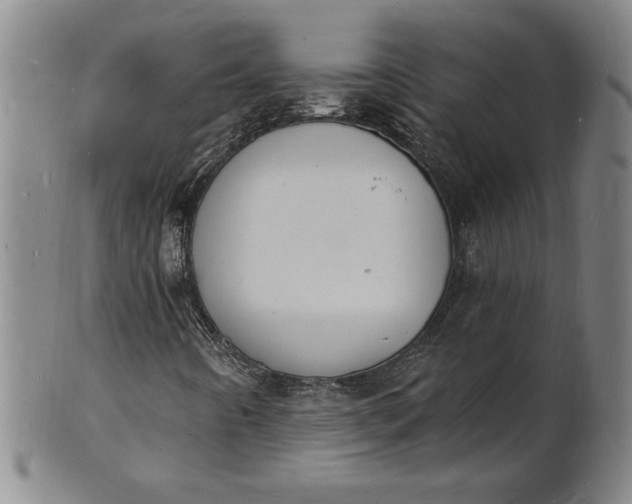 X0000102231442200808081336