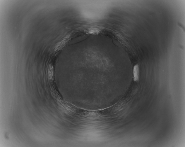 X0000102231443200808081336