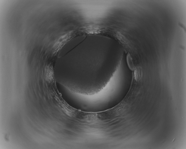 X0000102231444200808081336