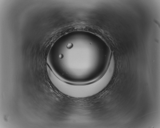 X0000102231445200808081336