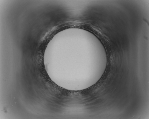 X0000102231447200808081336