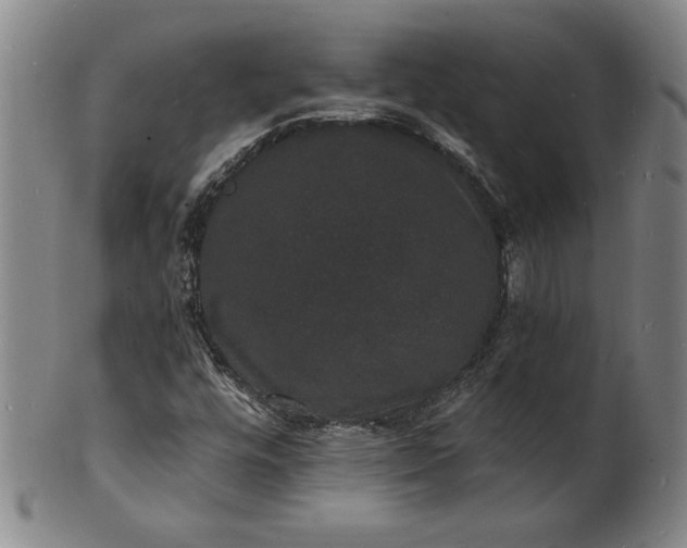 X0000102231448200808081336
