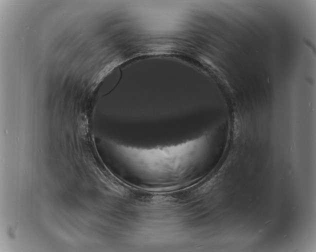 X0000102231449200808081336