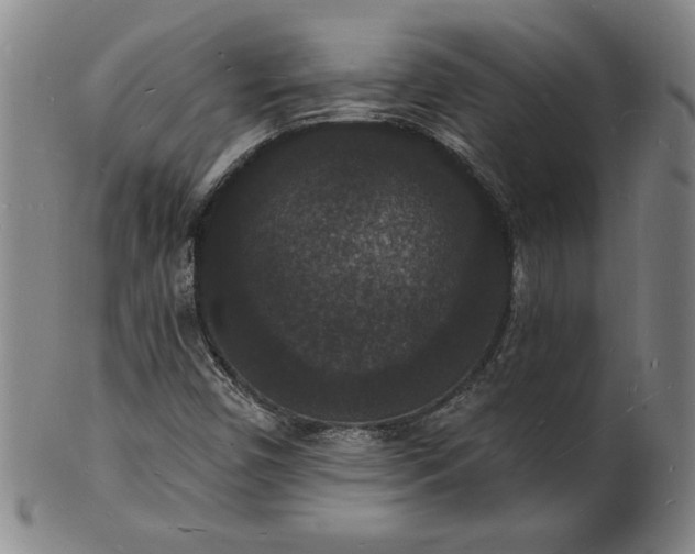 X0000102231450200808081336