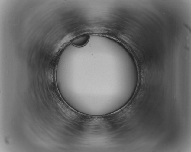 X0000102231451200808081336