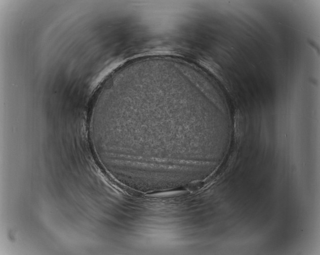 X0000102231452200808081336