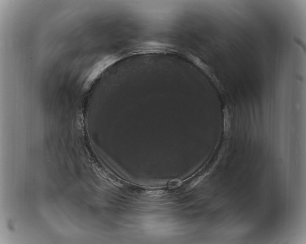 X0000102231453200808081336