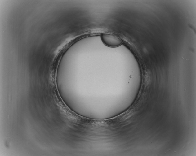 X0000102231454200808081336