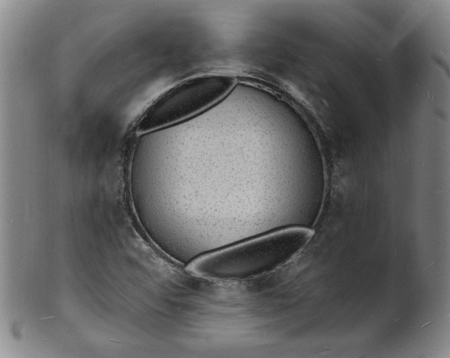 X0000102231456200808081336