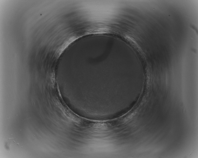 X0000102231457200808081336