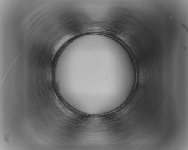X0000102231458200808081336