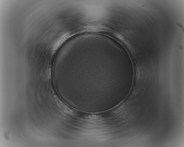 X0000102231459200808081336