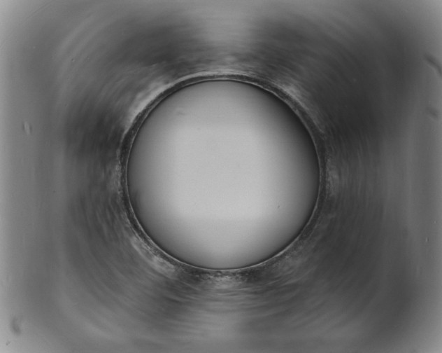 X0000102231460200808081336