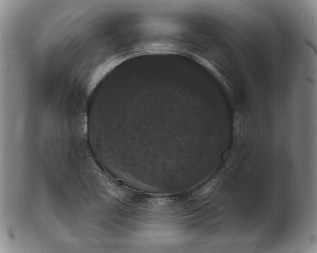 X0000102231461200808081336