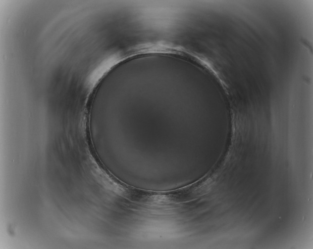 X0000102231463200808081336
