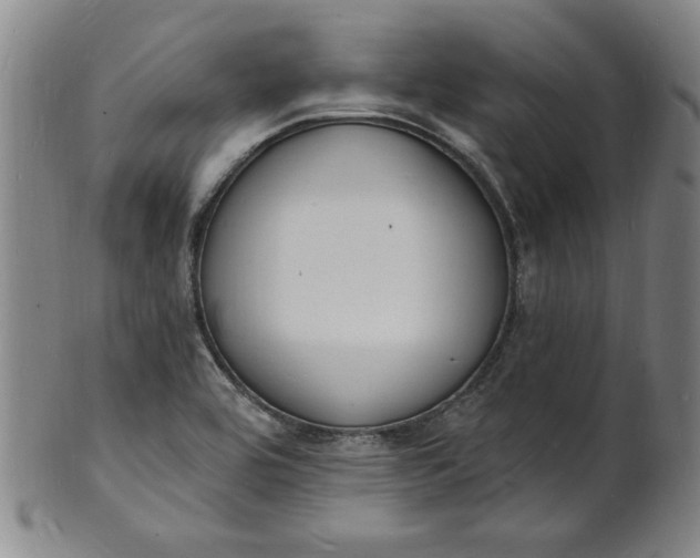 X0000102231464200808081336