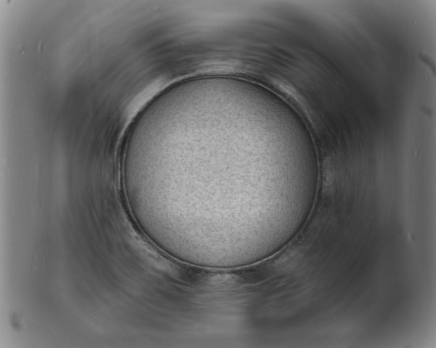X0000102231467200808081336