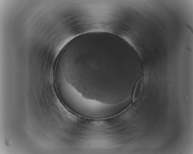 X0000102231468200808081336