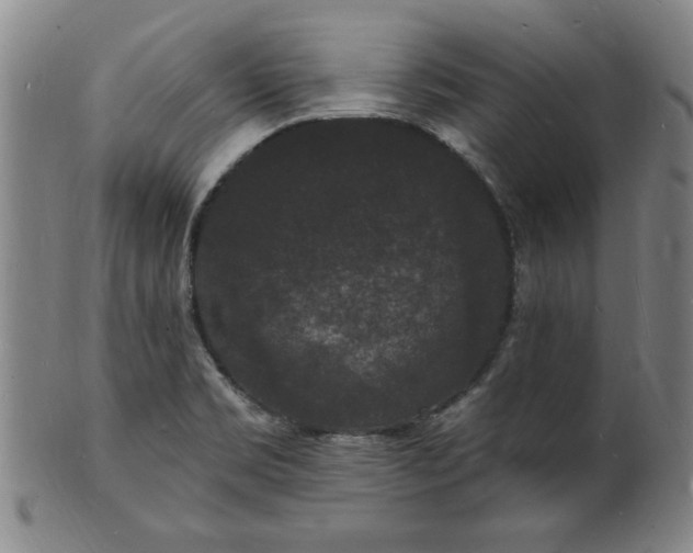 X0000102231469200808081336
