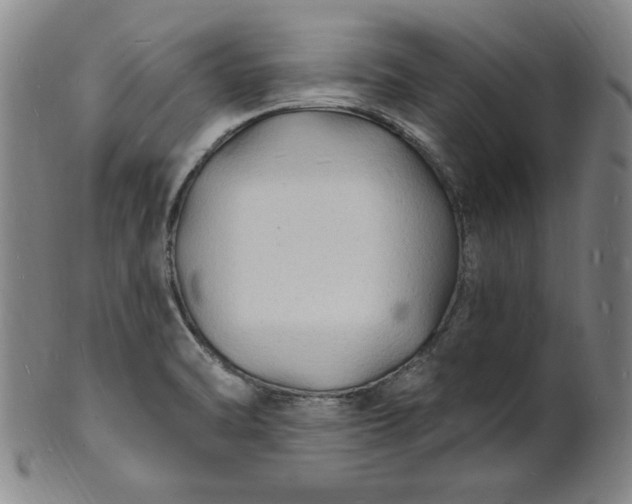 X0000102231470200808081336