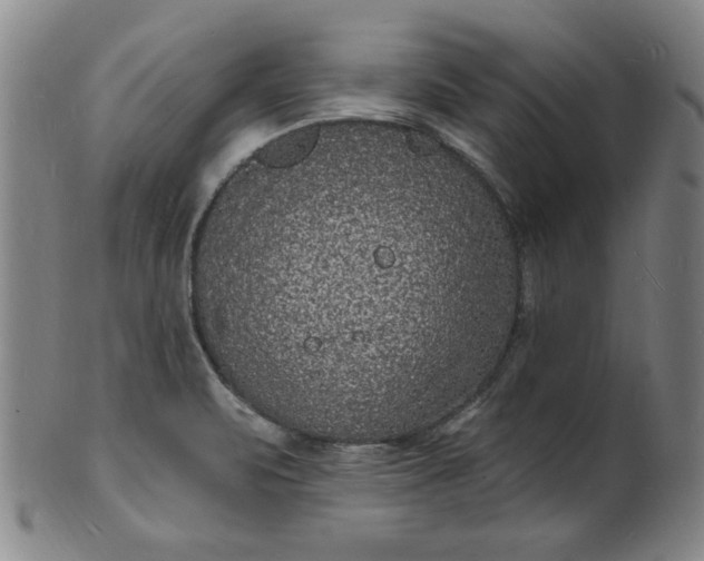 X0000102231471200808081336