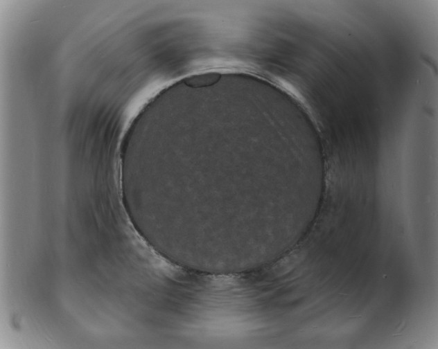 X0000102231472200808081336