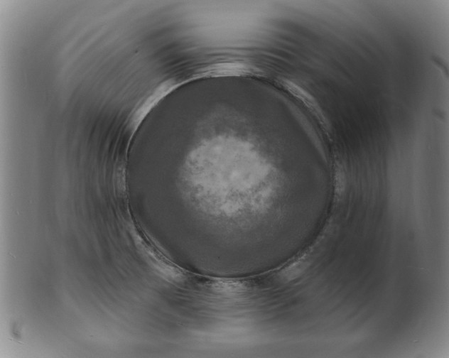 X0000102231473200808081336
