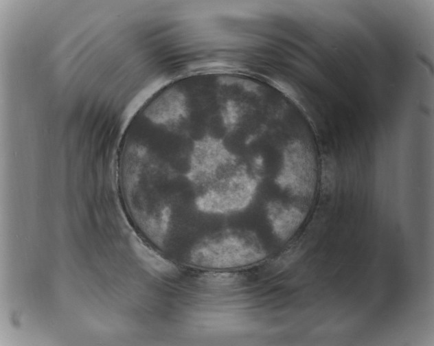 X0000102231474200808081336