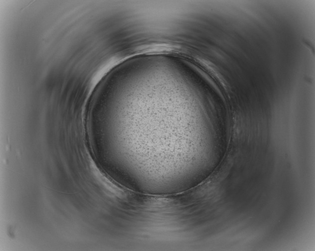 X0000102231475200808081336