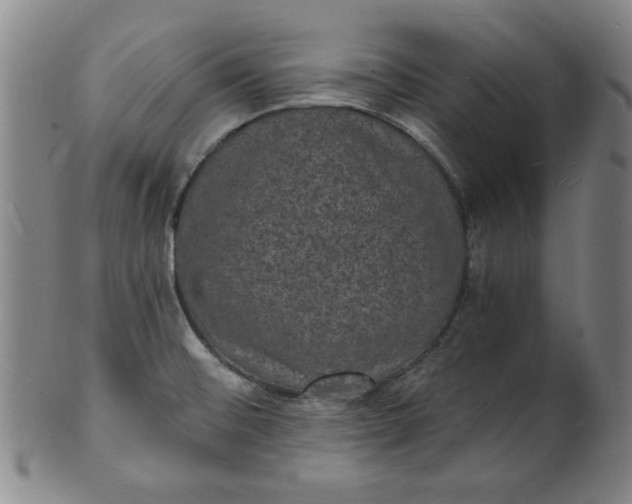 X0000102231476200808081336