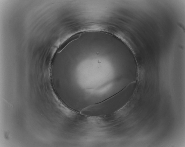 X0000102231477200808081336
