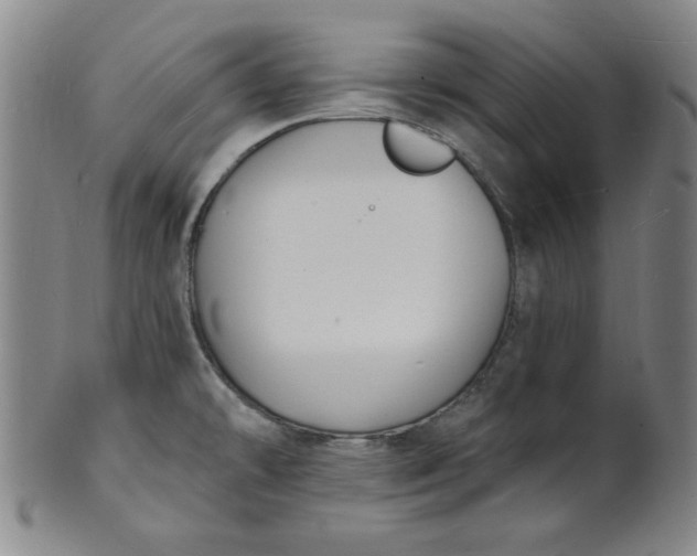 X0000102231478200808081336